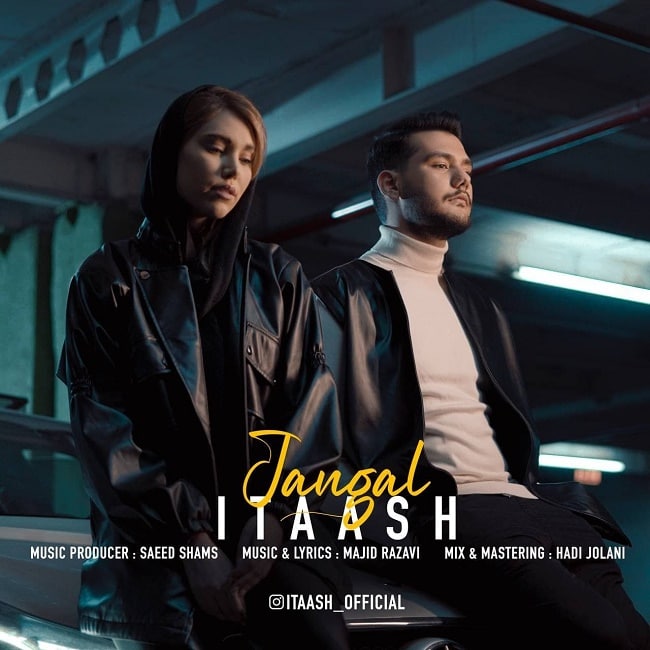 دانلود آهنگ جنگل